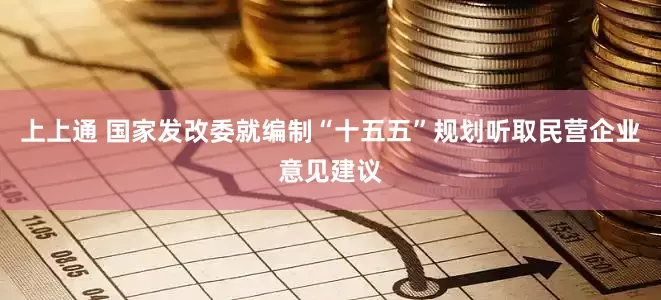 上上通 国家发改委就编制“十五五”规划听取民营企业意见建议