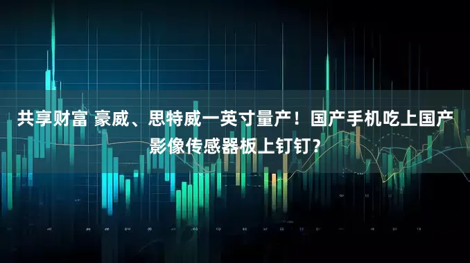 共享财富 豪威、思特威一英寸量产！国产手机吃上国产影像传感器板上钉钉？
