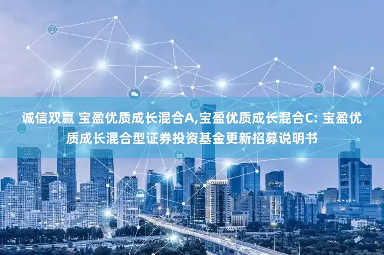 诚信双赢 宝盈优质成长混合A,宝盈优质成长混合C: 宝盈优质成长混合型证券投资基金更新招募说明书