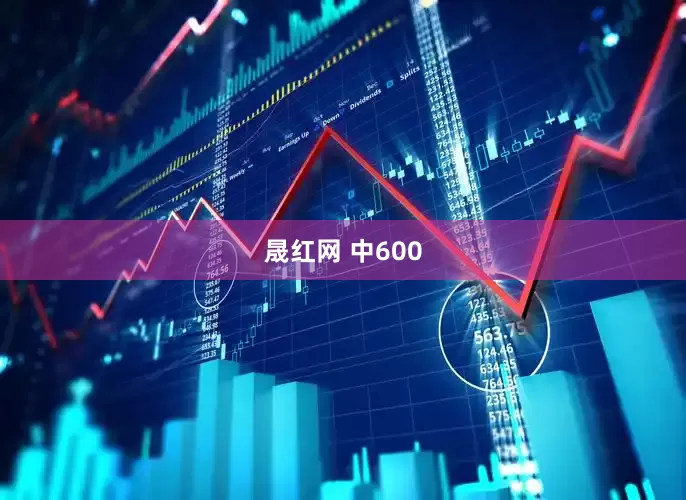 晟红网 中600